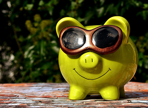 Saving Money in Pig