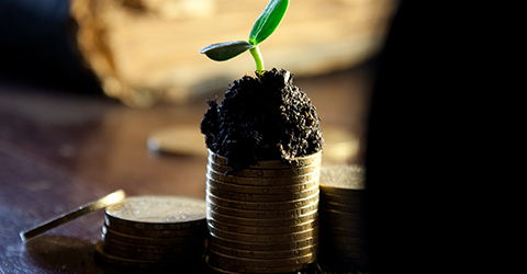 Preferred versus common stock: dividends and difference